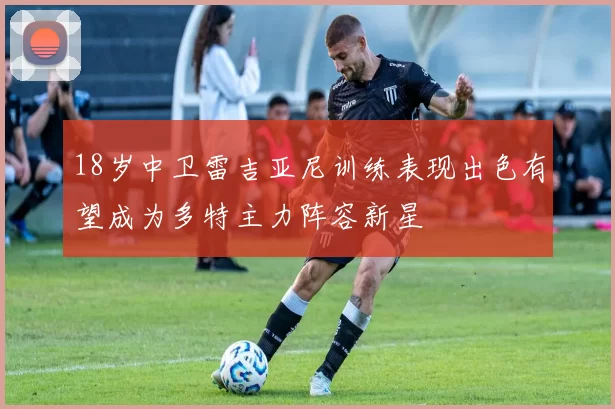 18岁中卫雷吉亚尼训练表现出色有望成为多特主力阵容新星