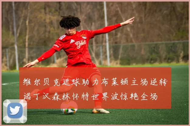 维尔贝克进球助力布莱顿主场逆转诺丁汉森林怀特世界波惊艳全场